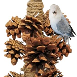Pine Cone Chewing Bird Toy Combination, Natural Hanging Interactive Toy
