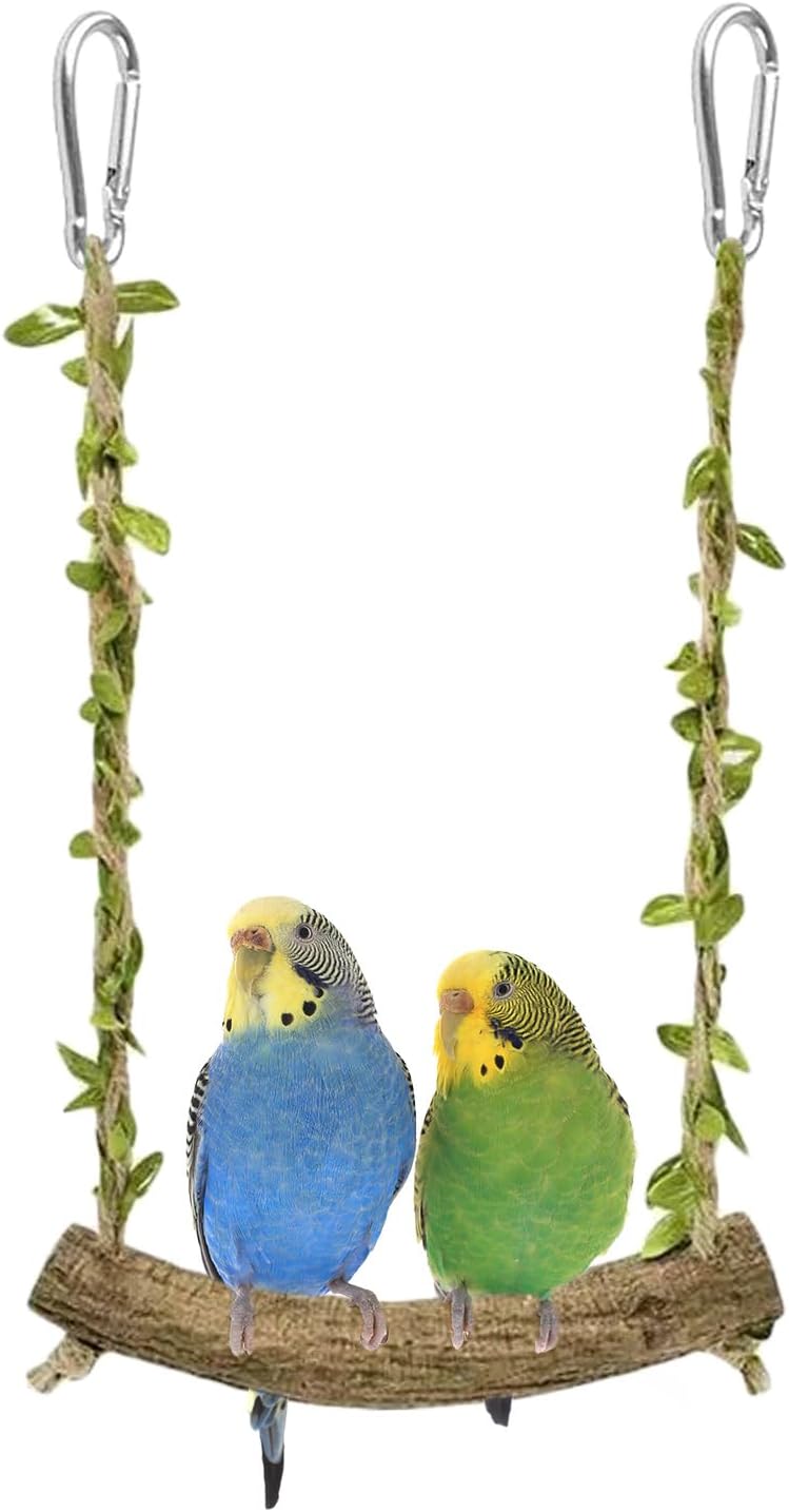 61w4IAvc4ZL._AC_SL1500_.jpg