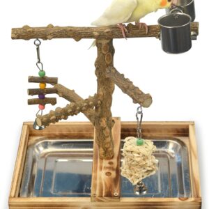 Natural Wooden Bird Play Platform with Tray and Feeding Cup Structure