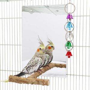 Large Bird Mirror Interactive Toy with Perch and Bell Swing Structure